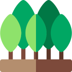 emoji forêt - symbole transition énergétique